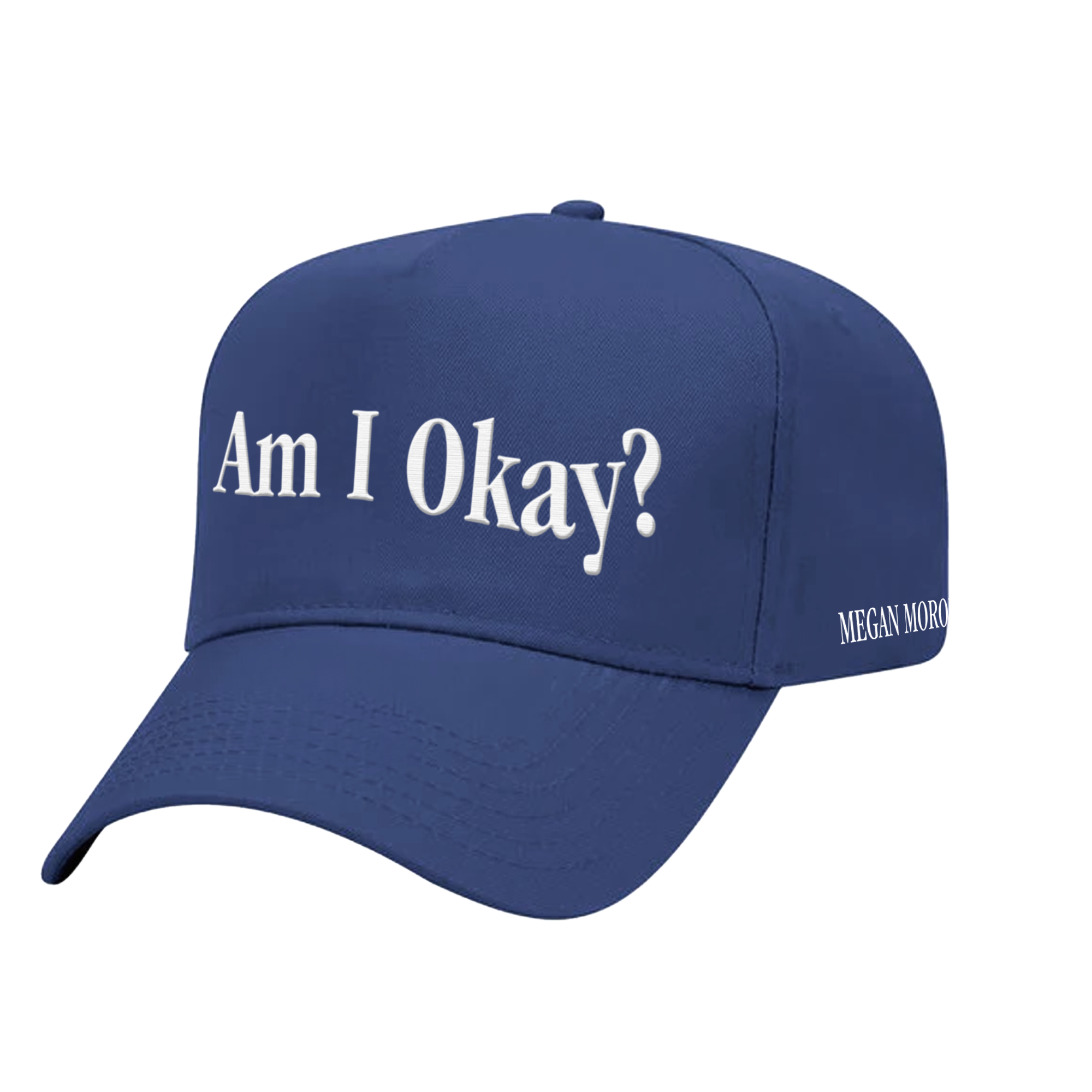 AM I OKAY? Blue Album Hat
